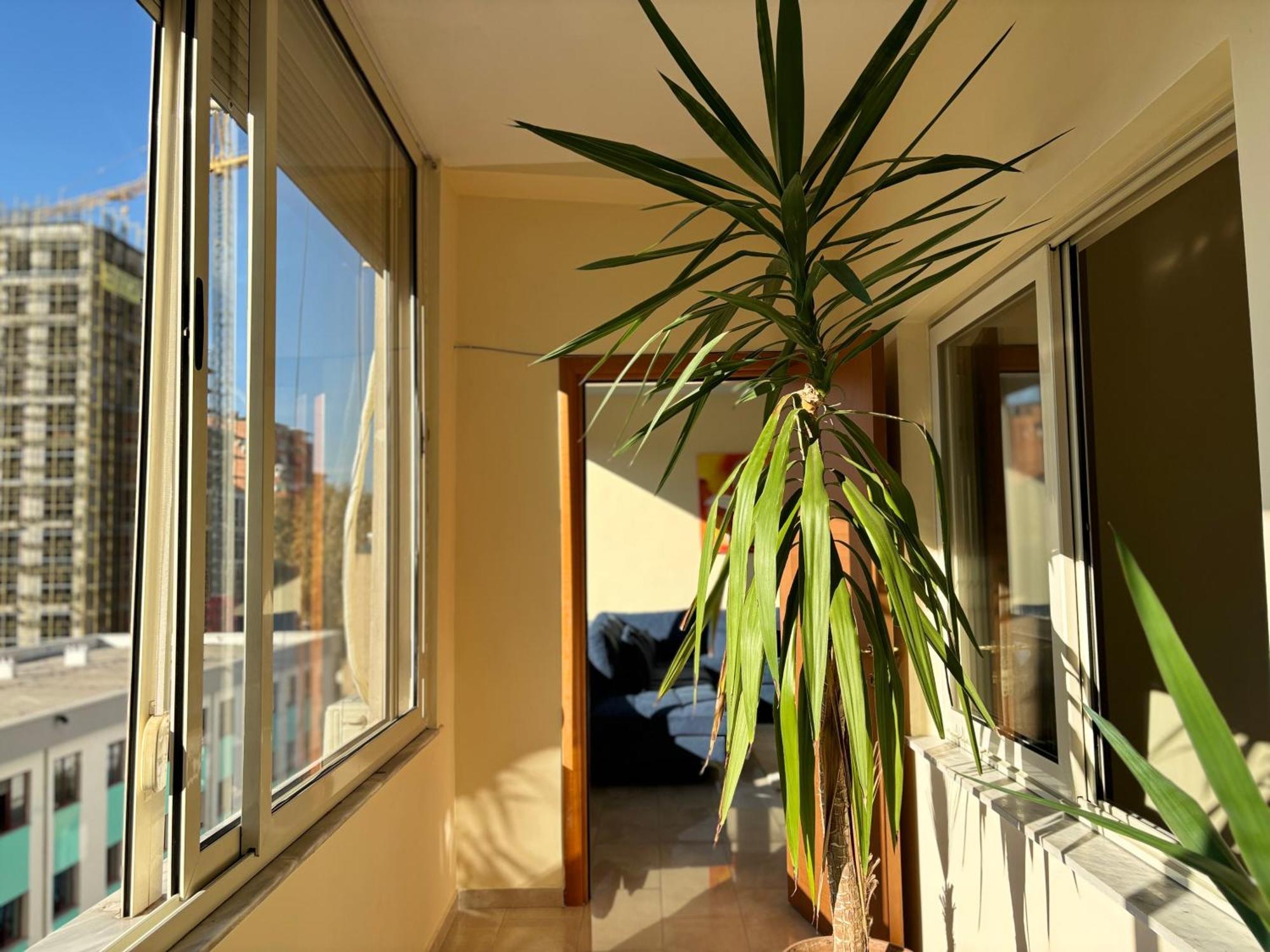 Tam 2Bdr Center Taiwan Apartment Tirana Exterior photo